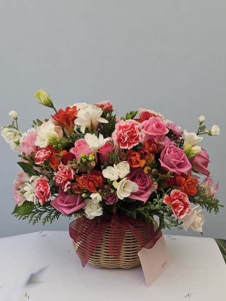 �������� �� �������� - ǳ���� ��ũ �ɹٱ��� �ɹ�� ���� 