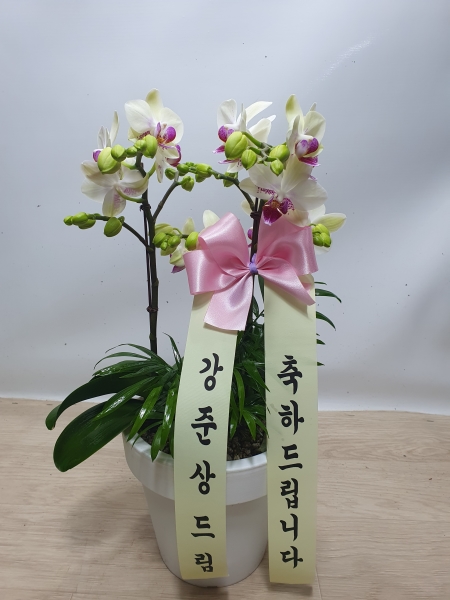 [�����ϴ� ���� ���] ȣ���� �׸����� (��) �ɹ�� ���� 