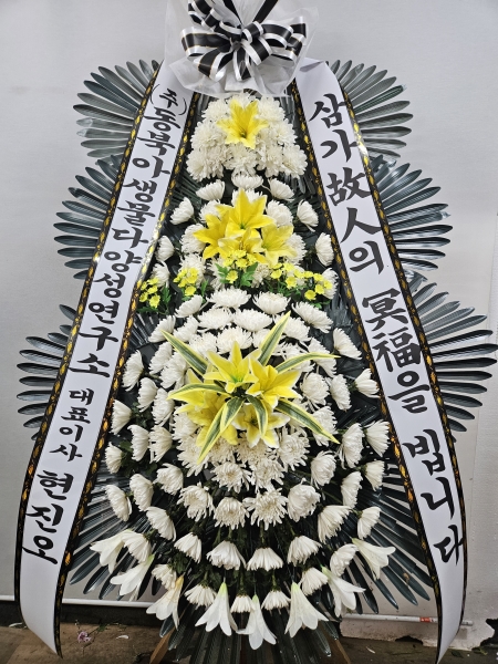 �����ô� ���� ǰ��! - �ö��119 ����3�ܱ⺻ȭȯ  (�������Ʈ) �ɹ�� ���� 