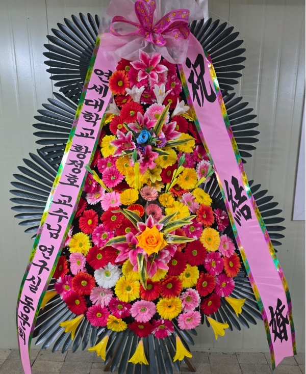 ����3�ܱ⺻ȭȯ �ɹ�� ���� 