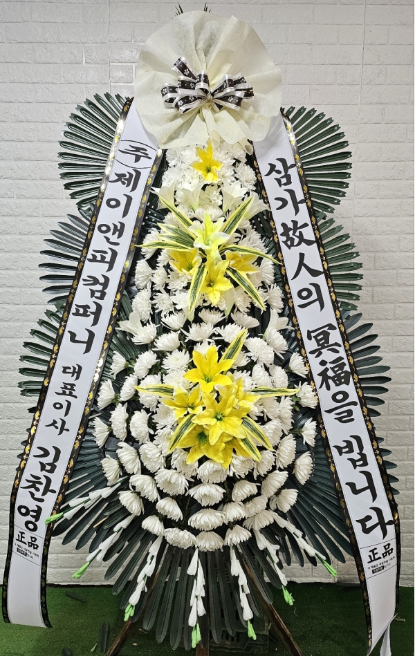 ������ ���� ���� 3�� ȭȯ �ɹ�� ���� 