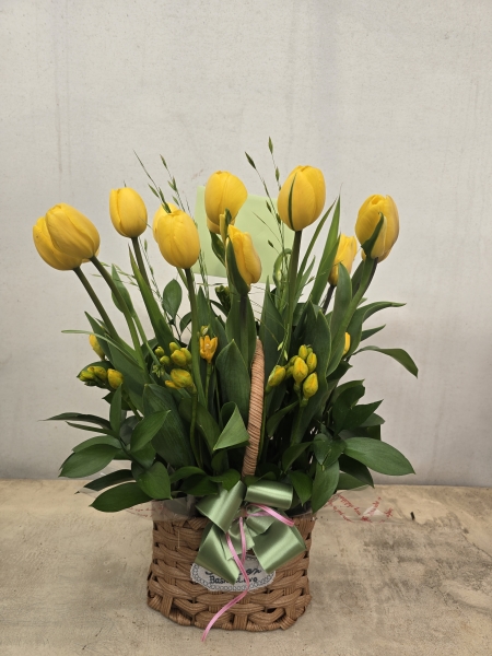 [������] Spring & Sweet - ������ ���� *�ٱ��Ϻ���* �ɹ�� ���� 