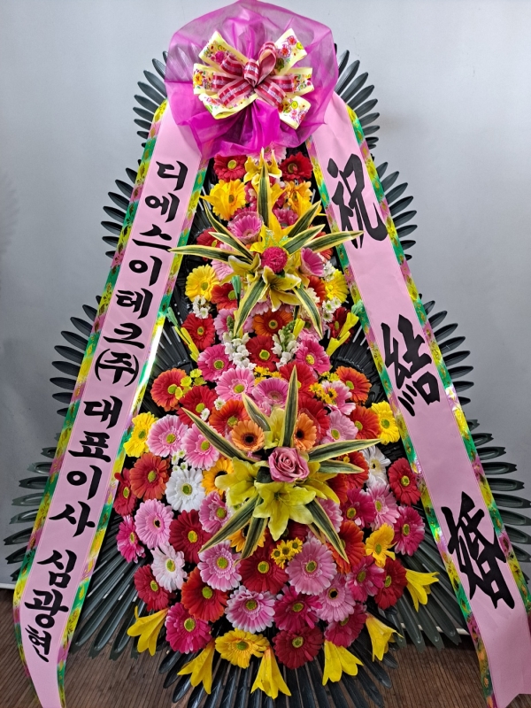 ����3�ܱ⺻ȭȯ �ɹ�� ���� 