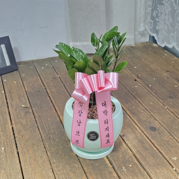 [�����ǹ��] ������ȭ�Ĺ� - ������B ***ȭ�⺯��*** �ɹ�� ���� 