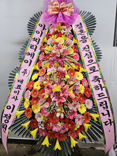 �����ôº��� ǰ��! - �ö��119 ����3��ȭȯ �ɹ�� ���� 