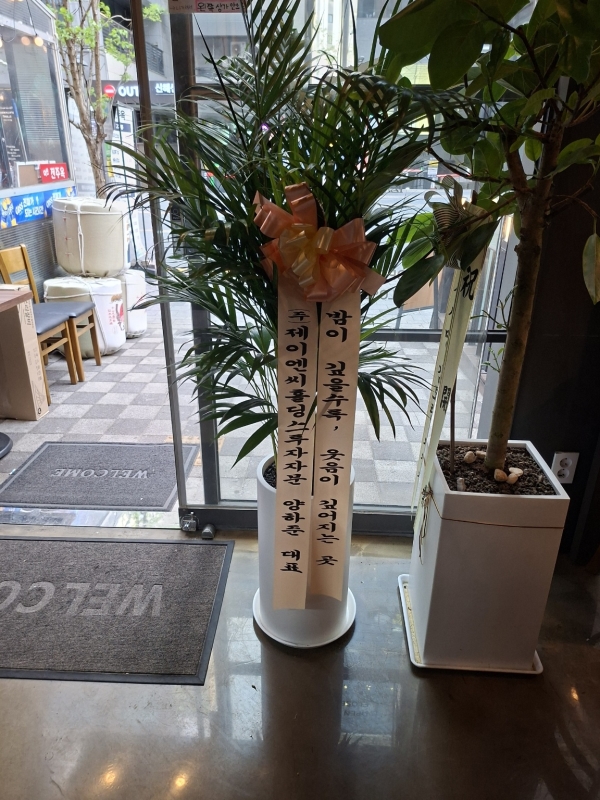 Office & Nature �Ʒ�ī���� (Ư��) �ɹ�� ���� 