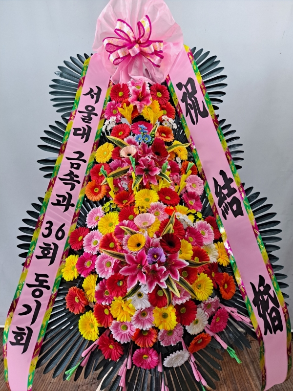 ����3�ܱ⺻ȭȯ �ɹ�� ���� 