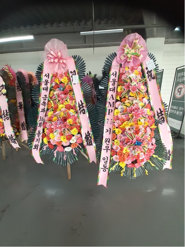 ����3�ܱ⺻ȭȯ �ɹ�� ���� 