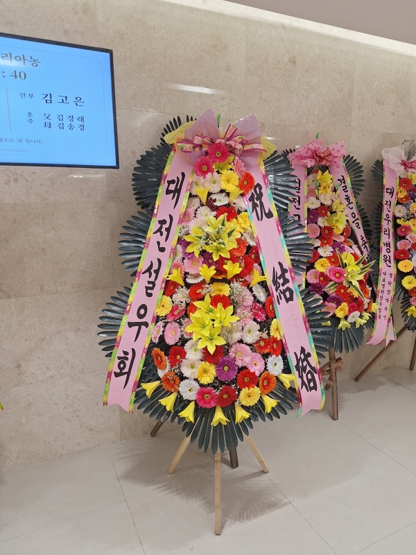 ����3�ܱ⺻ȭȯ �ɹ�� ���� 