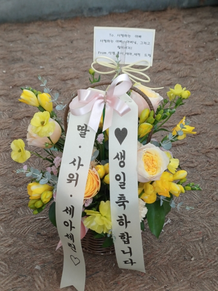 �޻� ���� �� �ٱ��� �ɹ�� ���� 