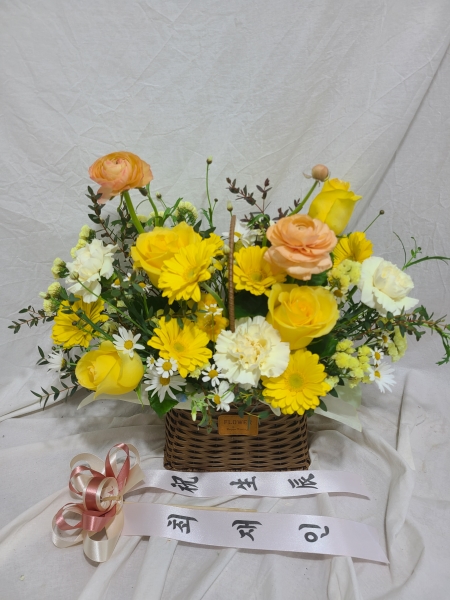 �޻� ���� �� �ٱ��� �ɹ�� ���� 