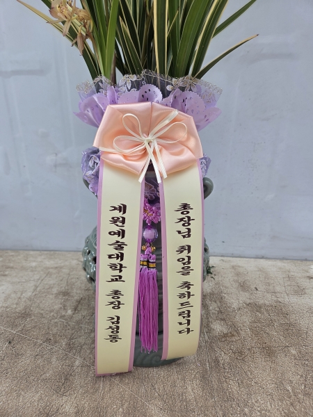 [����]���� �����- Ȳ��� �ɹ�� ���� 