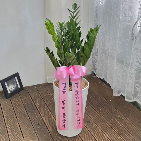 �������� ������õ - �̱׷��� ������ C �ɹ�� ���� 