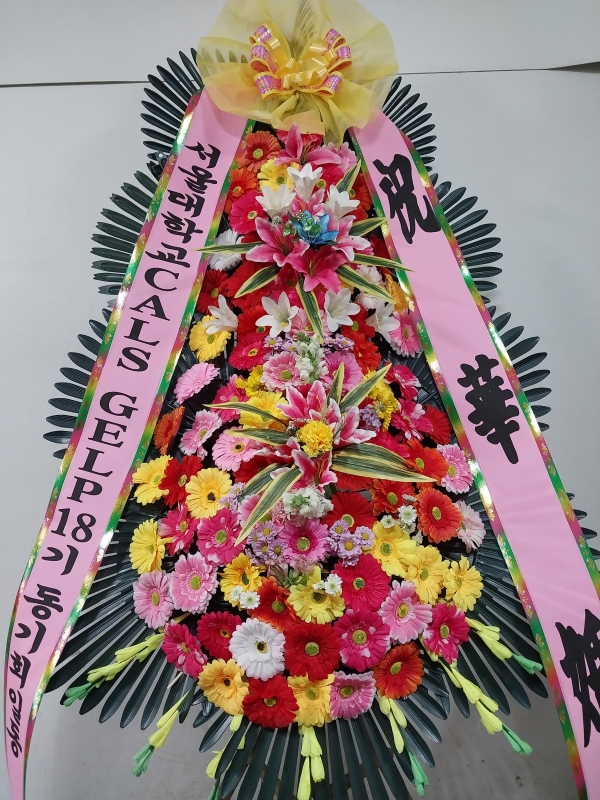 (���� ���Ϲ��) ����3��ȭȯ �ɹ�� ���� 