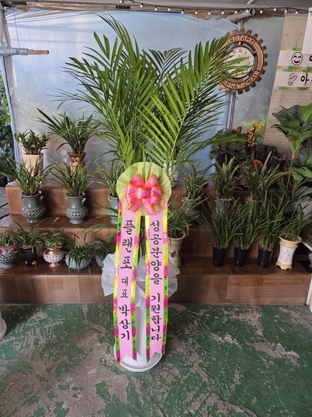 ������ ������ ��¡�ϴ� �Ĺ� - �Ʒ�ī(Ư) �ɹ�� ���� 