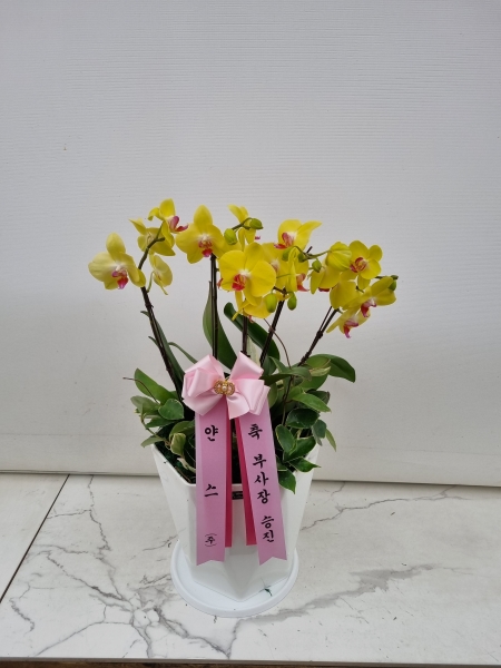 ������ ������ ����� �Բ� ������, ��� ȣ���� �ɹ�� ���� 