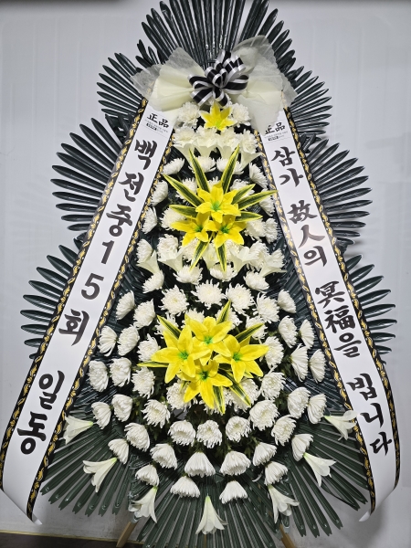 ���� �ֵ��� ���� ����ȭȯ �ɹ�� ���� 