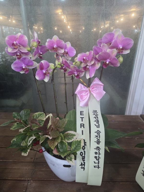 [����,������]����� ������ ���� - ��ũ ȣ���� (��) (ȭ�⺯��) �ɹ�� ���� 