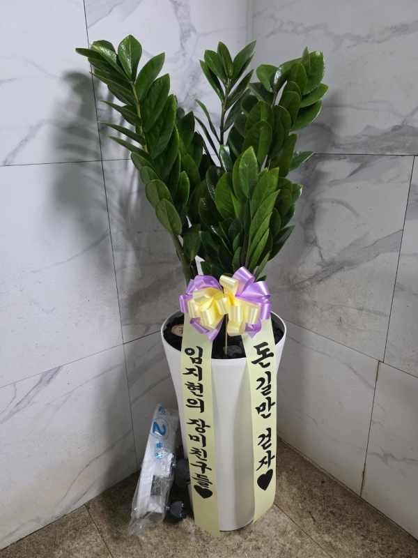 ���� ����ȭ�� - �������� �ɹ�� ���� 