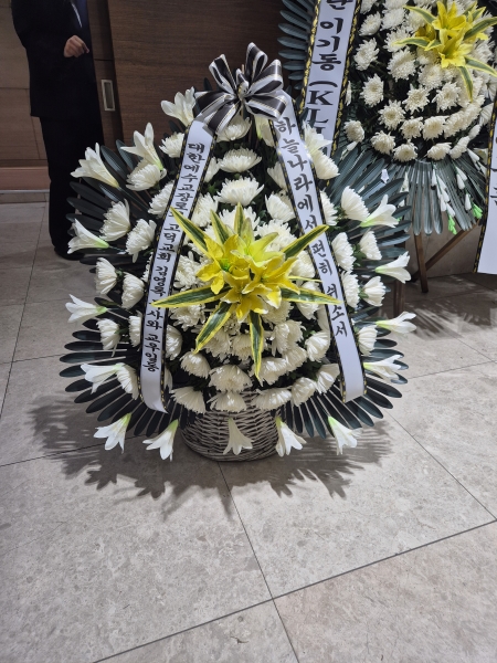 ������Ŀ� �ٱ��� - ���������ٱ��� (����) �ɹ�� ���� 