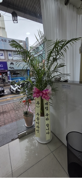 ������ ������ ��¡�ϴ� �Ĺ� - �Ʒ�ī(��) �ɹ�� ���� 