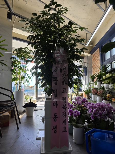 �������� ������õ - ���� �캸��A �ɹ�� ���� 