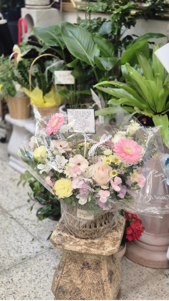 �������� �� ������ �ɹ�� ���� 