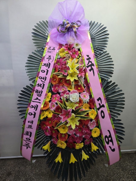 ������ ���� ����3��ȭȯ �ɹ�� ���� 