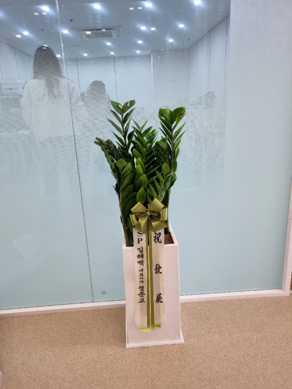 ���� ����ȭ�� - �������� �ɹ�� ���� 