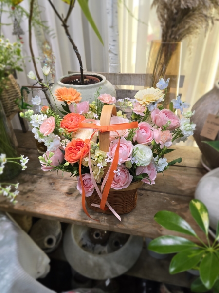 ������ �׸� �׸� �ɹ�� ���� 