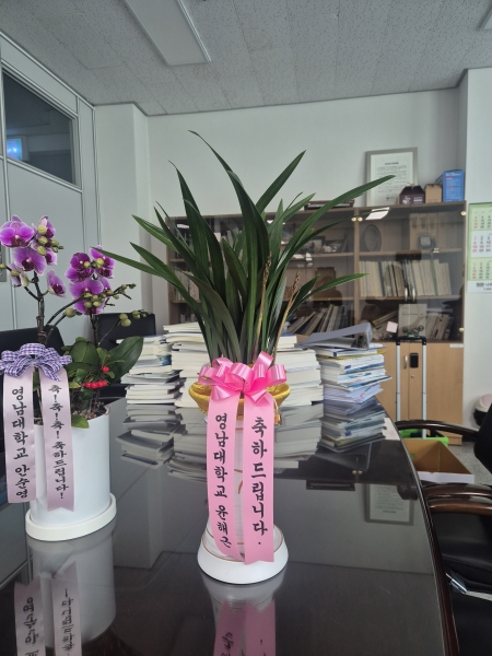 [�λ��̵� ��õ] ���� ���� �Ǿ��ִ� ����� �ɹ�� ���� 