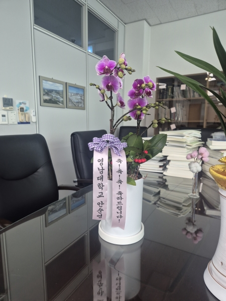 ������ ������ ���, ������ ������ ���� ���� ��ũ ȣ���� ��õȫ �ɹ�� ���� 