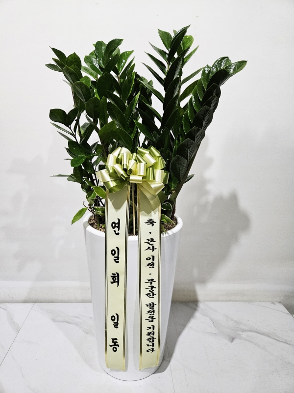 ���� ����ȭ�� - �������� �ɹ�� ���� 