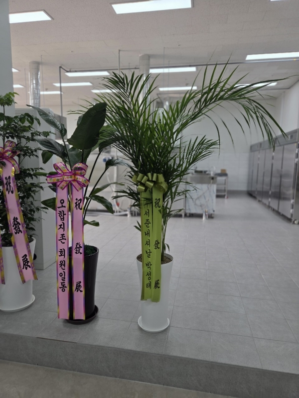 Office & Nature �Ʒ�ī���� (Ư��) �ɹ�� ���� 