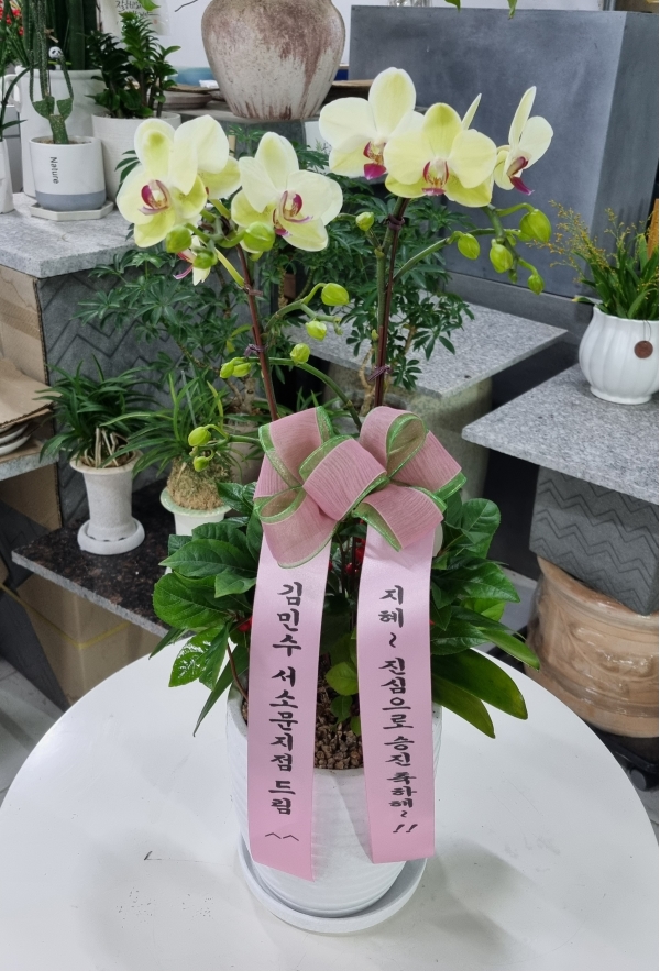 ��� ������ ���� ���� �ɹ�� ���� 