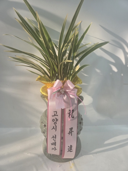 ������ �����մϴ� ��Ȳ �ɹ�� ���� 