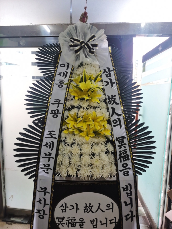 ������ ���� ���� 3�� ȭȯ �ɹ�� ���� 