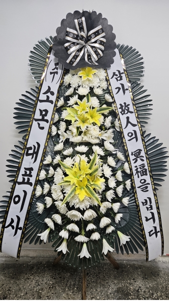 ������ ���� ���� 3�� ȭȯ �ɹ�� ���� 