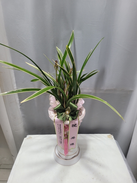 [�λ��̵� ��õ] ���� ���� �Ǿ��ִ� ����� �ɹ�� ���� 