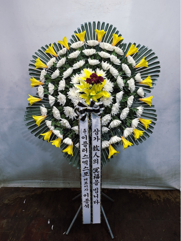 �����ô� ���� ǰ��! - �ö��119 ����3�ܱ⺻ȭȯ  (�������Ʈ) �ɹ�� ���� 