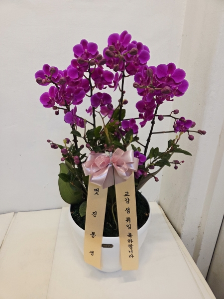 ������ ù������ ���ο� ������ �����ϴ�, ���� ��ũ ȣ���� ��õȫ �ɹ�� ���� 