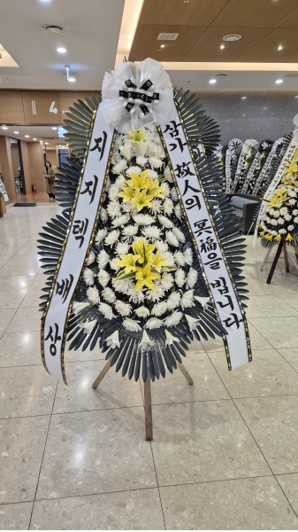 ������ ���� ���� 3�� ȭȯ �ɹ�� ���� 