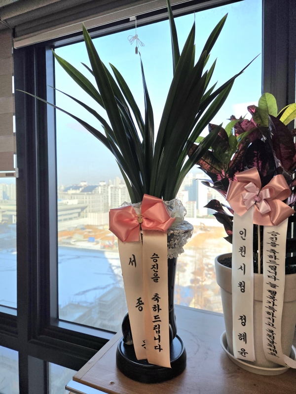 [�λ��̵� ��õ] �Ͼ���� �Ǿ�� ���� ����� �ɹ�� ���� 