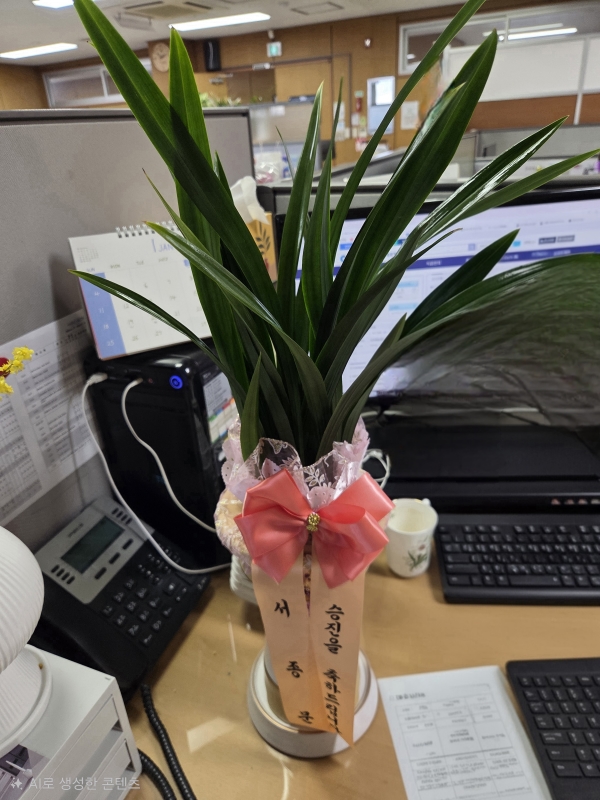 [�λ��̵� ��õ] �Ͼ���� �Ǿ�� ���� ����� �ɹ�� ���� 