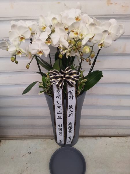 [���� �����] ǰ���� �������� ���޼���� ����ȭȯ(Ư) �ɹ�� ���� 