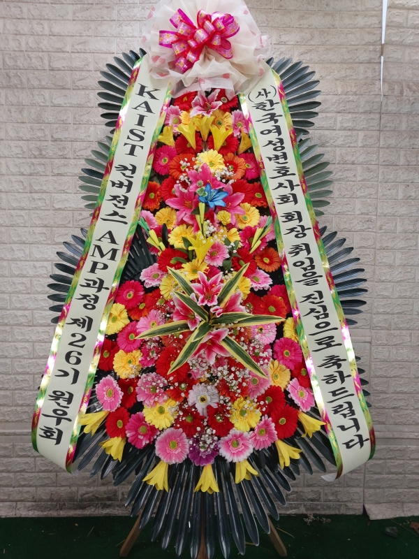 ����3�ܱ⺻ȭȯ �ɹ�� ���� 