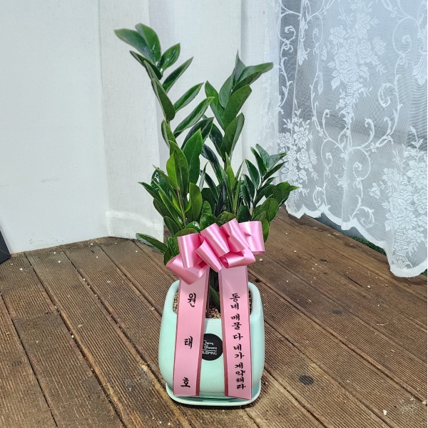 [�����ǹ��] ������ȭ�Ĺ� - ������B ***ȭ�⺯��*** �ɹ�� ���� 