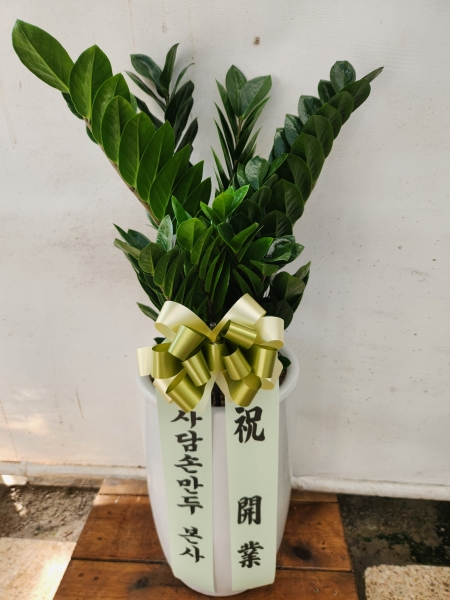 �������� ������õ - �̱׷��� ������ C �ɹ�� ���� 