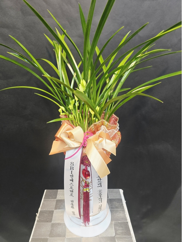 [�λ��̵� ��õ] �Ͼ���� �Ǿ�� ���� ����� �ɹ�� ���� 