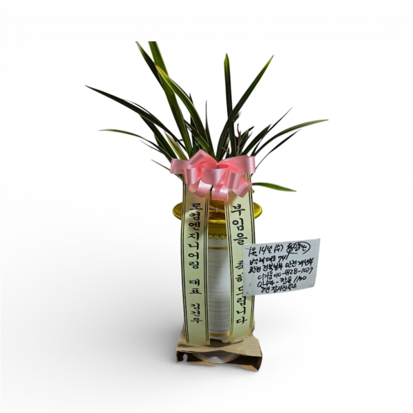 [�λ��̵� ��õ] �Ͼ���� �Ǿ�� ���� ����� �ɹ�� ���� 